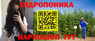 эйфоретик Краснознаменск