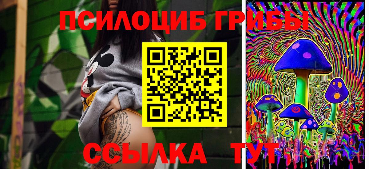 Ипатово  Псилоцибиновые грибы прущие грибы  где купить наркотик  Вход с VPN 